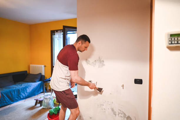 Best Home Mold Removal  in Gardnertown, NY